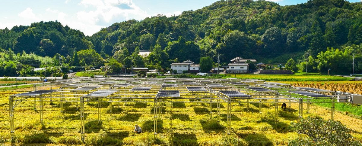 Vue d'ensemble d'un champ agricole avec panneaux photo voltaïques