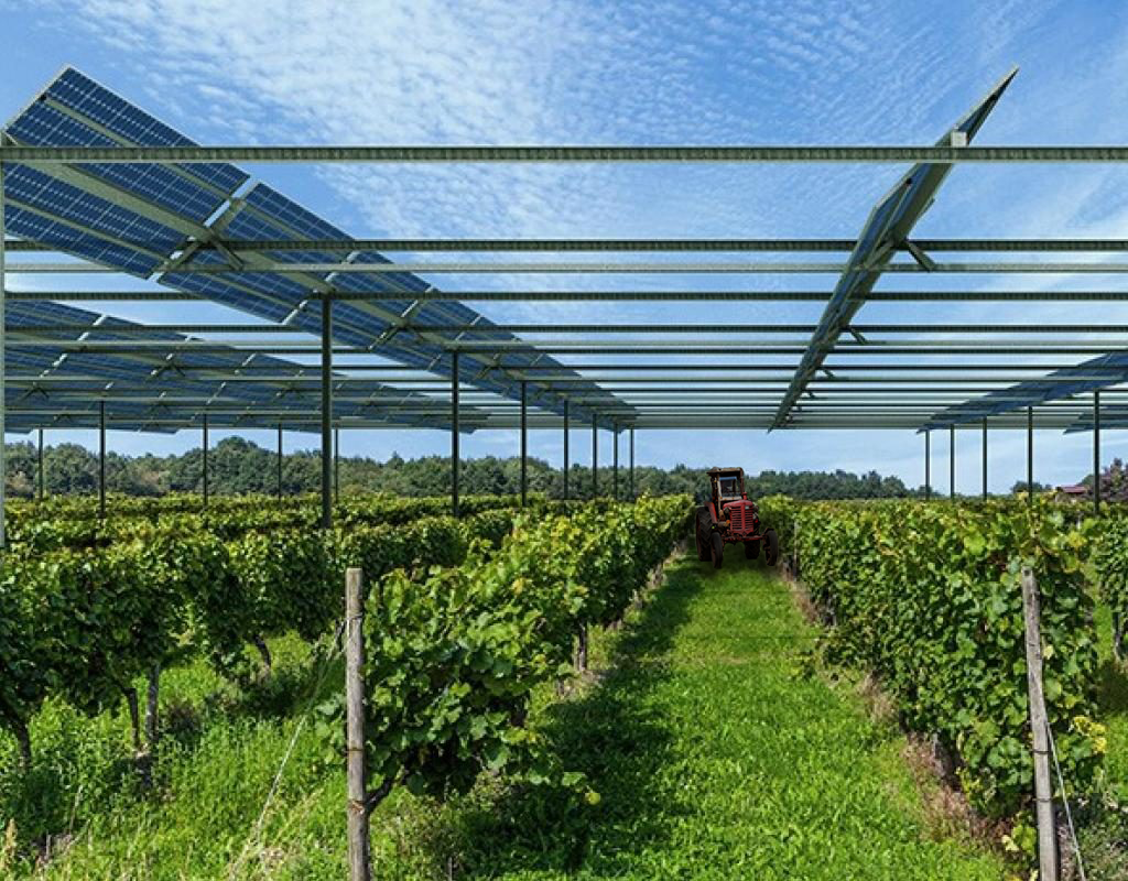 Champ agri voltaïque avec un tracteur rouge au fond