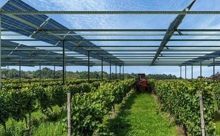 Champ agri voltaïque avec un tracteur rouge au fond