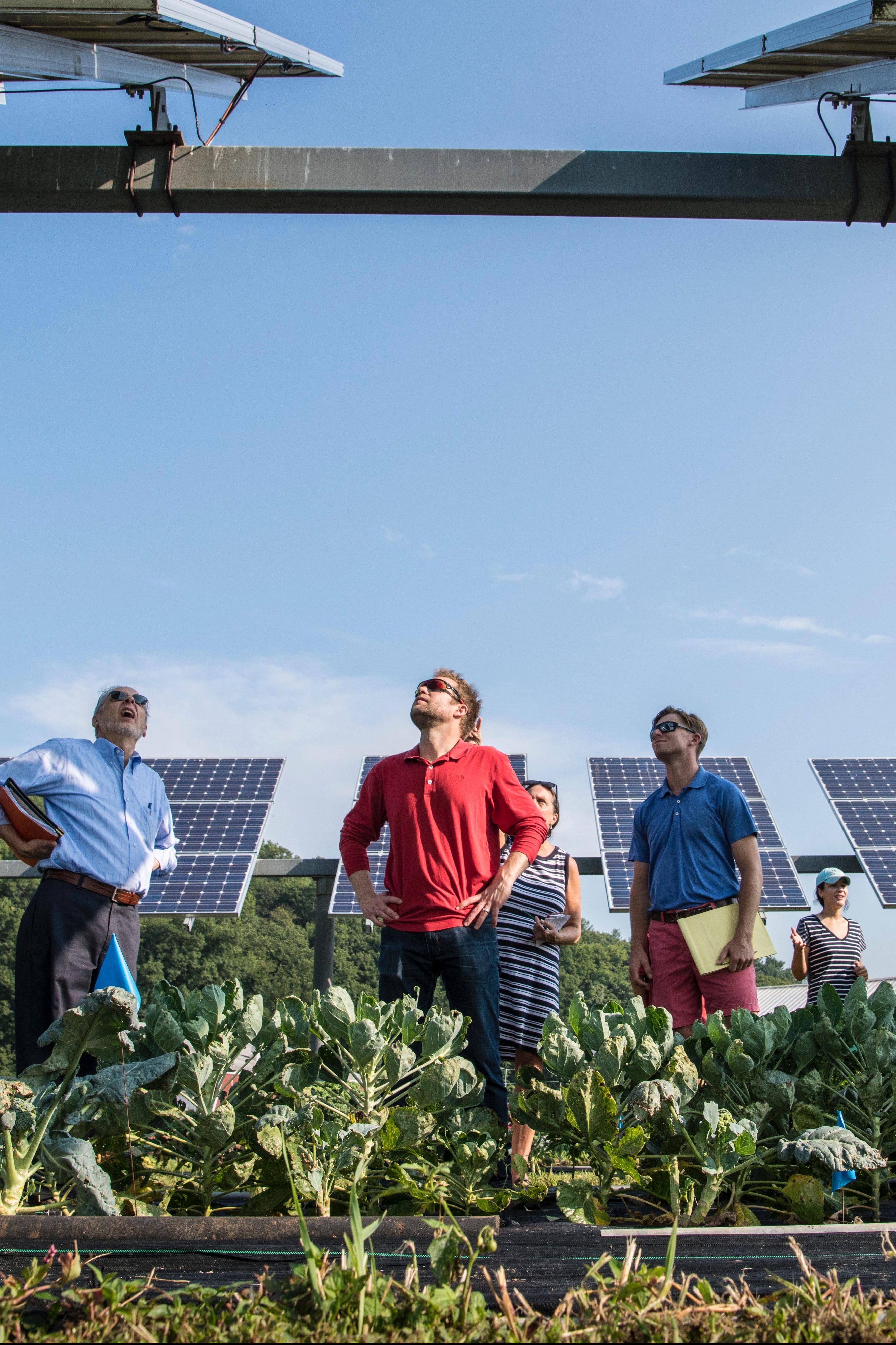 Groupe de personnes dans un champ de plantations levant la tête vers des panneaux photovoltaïques